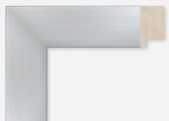 Custom Frame CFCDMS-11349