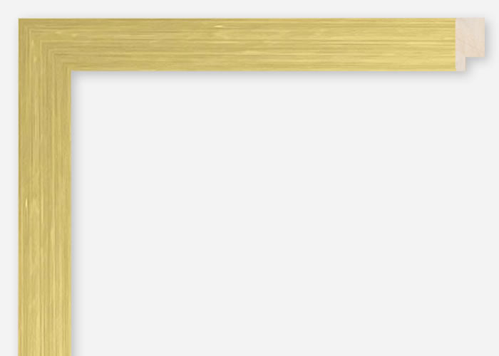 Custom Frame CFCDMS-11387