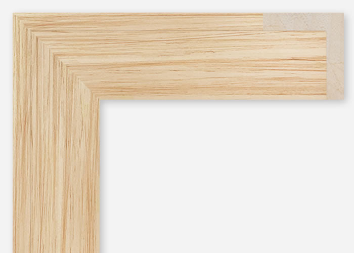 Custom Floater Frame CFCDMS-11399x