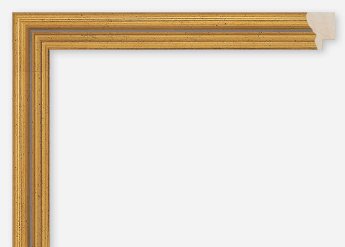Custom Frame CFCDMS-1201
