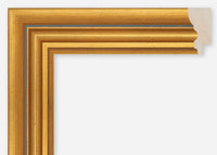 Custom Frame CFCDMS-1203
