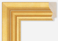 Custom Frame CFCDMS-1204