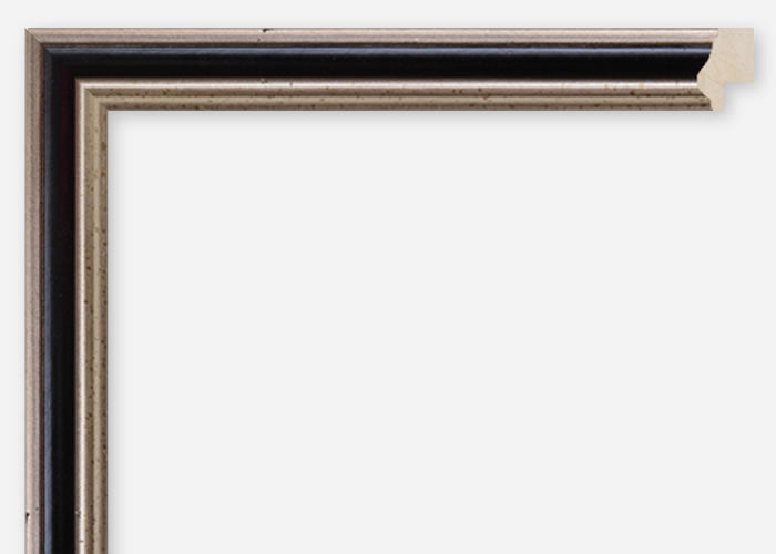 Custom Frame CFCDMS-2016