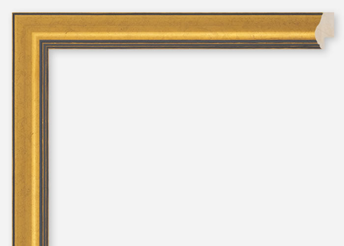 Custom Frame CFCDMS-2021