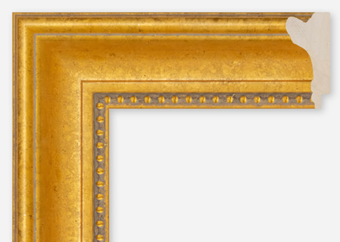 Custom Frame CFCDMS-2025