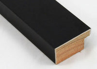 Custom Frame CFCW0369