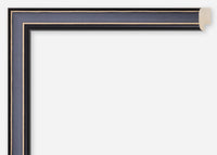 Custom Frame CFCDMS-4003
