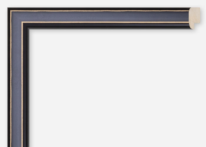 Custom Frame CFCDMS-4003