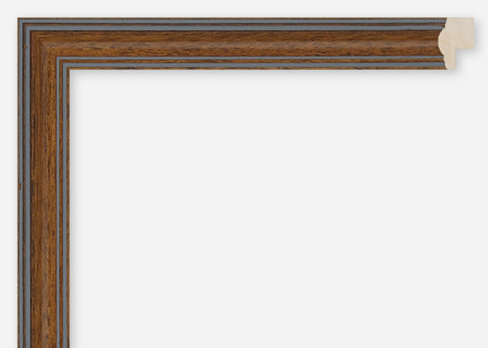 Custom Frame CFCDMS-5000