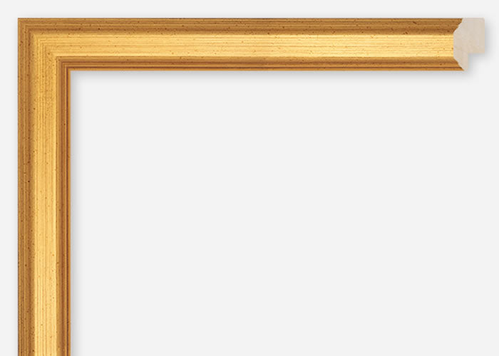 Custom Frame CFCDMS-5043