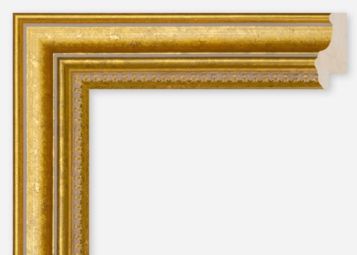 Custom Frame CFCDMS-6124