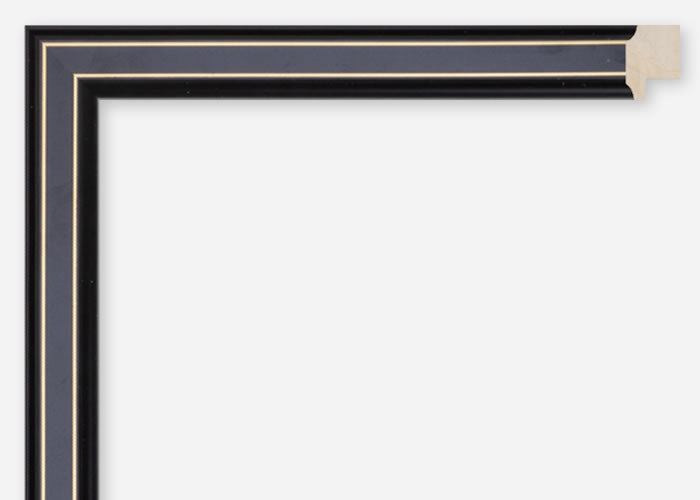 Custom Frame CFCDMS-6280