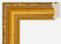 Custom Frame CFCDMS-6294