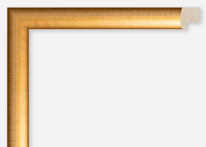 Custom Frame CFCDMS-6377