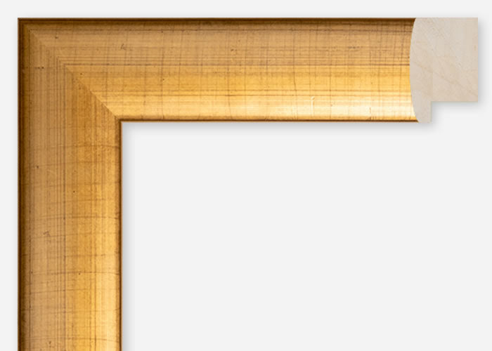 Custom Frame CFCDMS-6379