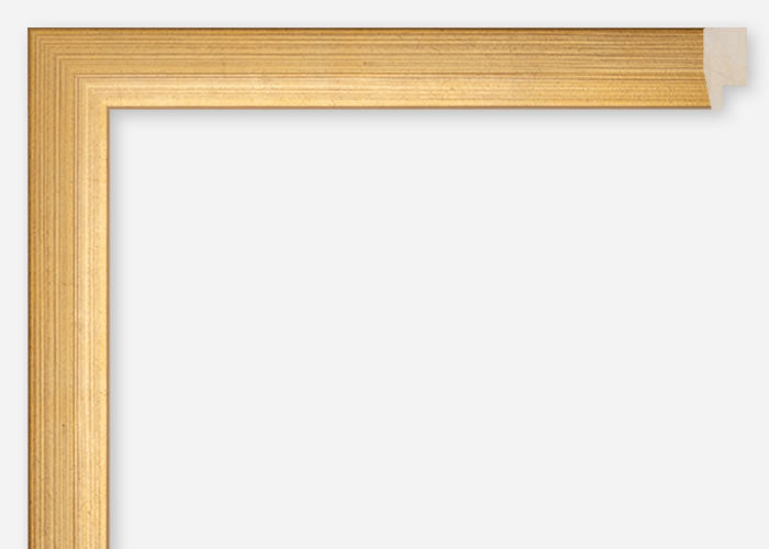 Custom Frame CFCDMS-6394