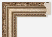 Custom Frame CFCDMS-6472