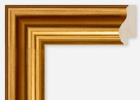 Custom Frame CFCDMS-6521