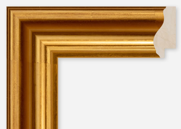 Custom Frame CFCDMS-6521