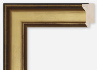 Custom Frame CFCDMS-6526