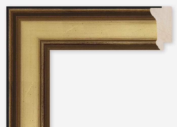 Custom Frame CFCDMS-6526