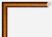 Custom Frame CFCDMS-6558
