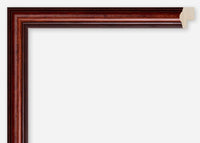 Custom Frame CFCDMS-6559