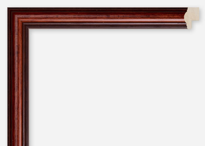Custom Frame CFCDMS-6559
