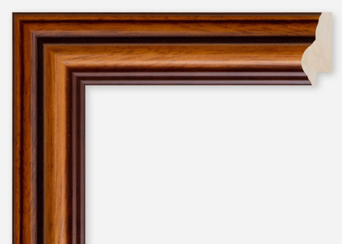 Custom Frame CFCDMS-6560