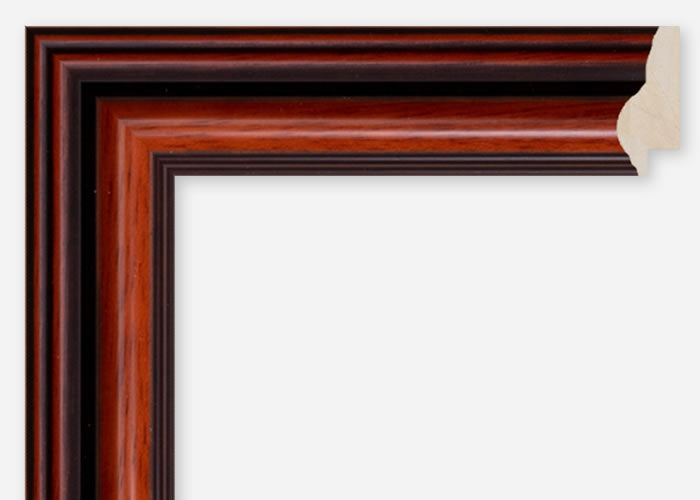 Custom Frame CFCDMS-6561