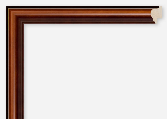Custom Frame CFCDMS-6564
