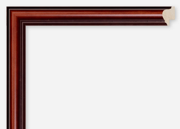 Custom Frame CFCDMS-6565