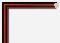 Custom Frame CFCDMS-6565