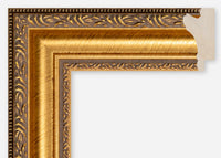 Custom Frame CFCDMS-6573