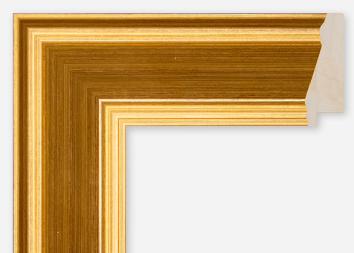Custom Frame CFCDMS-6609