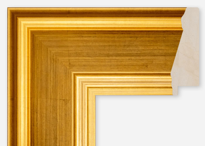 Custom Frame CFCDMS-6610