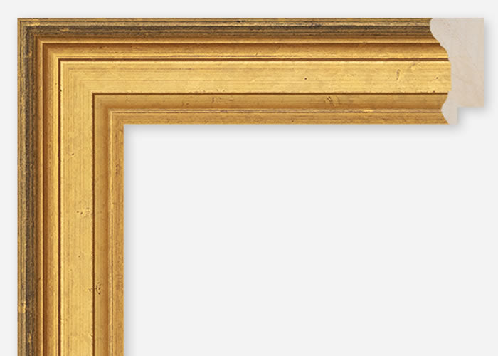 Custom Frame CFCDMS-6680