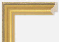 Custom Frame CFCDMS-6810