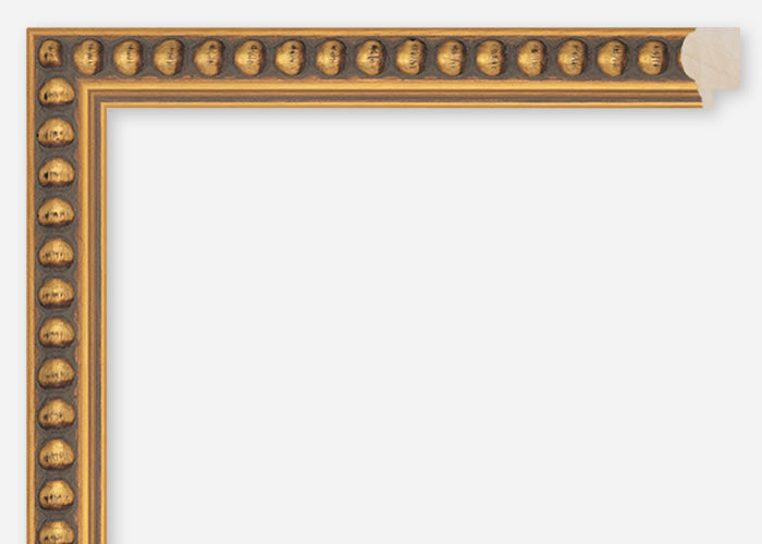 Custom Frame CFCDMS-6864