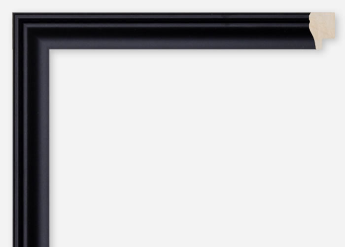 Custom Frame CFCDMS-6902