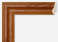 Custom Frame CFCDMS-6963
