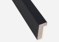 Custom Frame CFCDMS-6982