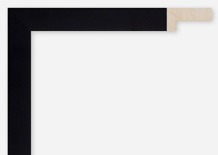 Custom Frame CFCDMS-6982