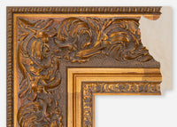 Custom Frame CFCDMS-8049x