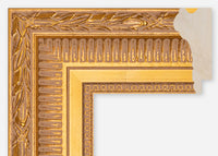 Custom Frame CFCDMS-8059