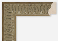 Custom Frame CFCDMS-8088