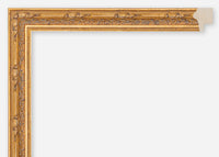 Custom Frame CFCDMS-8191