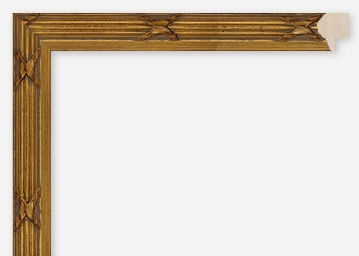 Custom Frame CFCDMS-8193