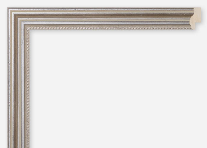 Custom Frame CFCDMS-8203