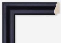 Custom Frame CFCDMS-8299